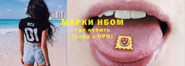 apvp Вяземский