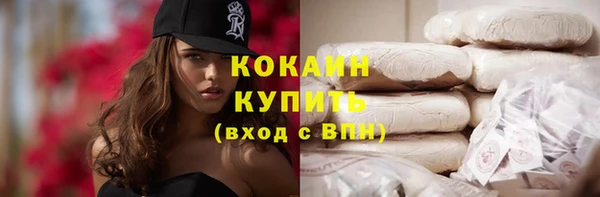 apvp Вяземский