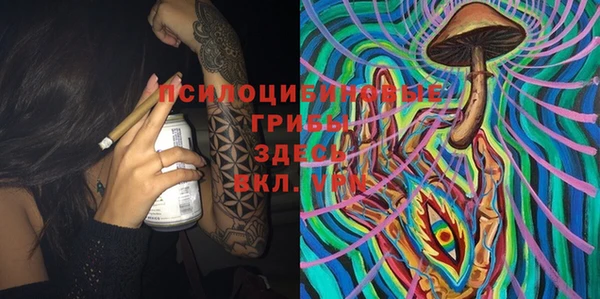 apvp Вяземский