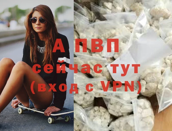 apvp Вяземский