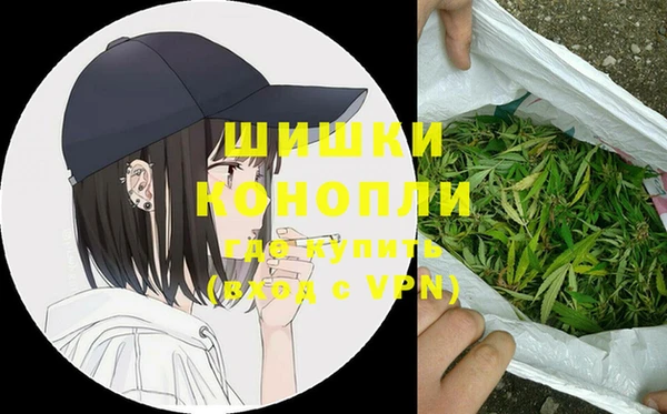 apvp Вяземский