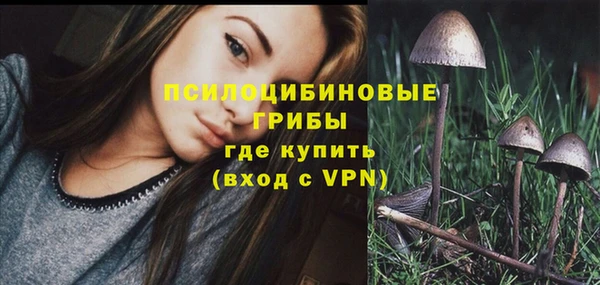 молекула духа Вязники