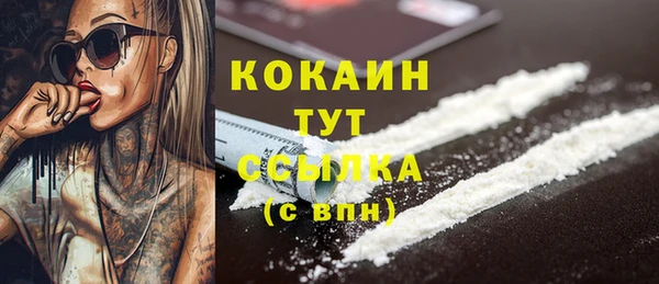 apvp Вяземский