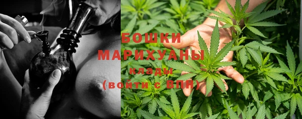 apvp Вяземский