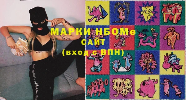 apvp Вяземский